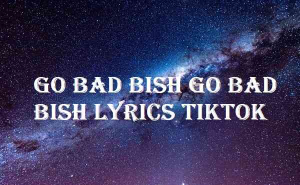 Go Bad Bish Go Bad Bish Lyrics Tiktok