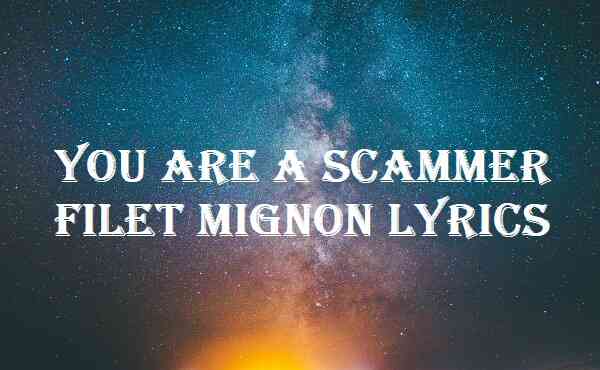 you are a scammer filet mignon lyrics