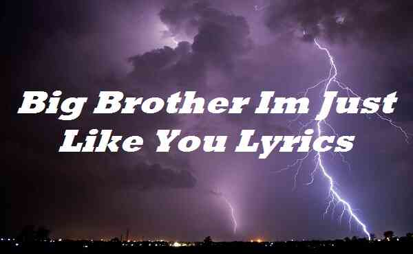 Big Brother Im Just Like You Lyrics Songlyricsplace