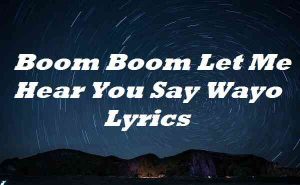 boom boom boom let me hear you say wayo lyrics