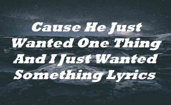 Cause He Just Wanted One Thing And I Just Wanted Something Lyrics