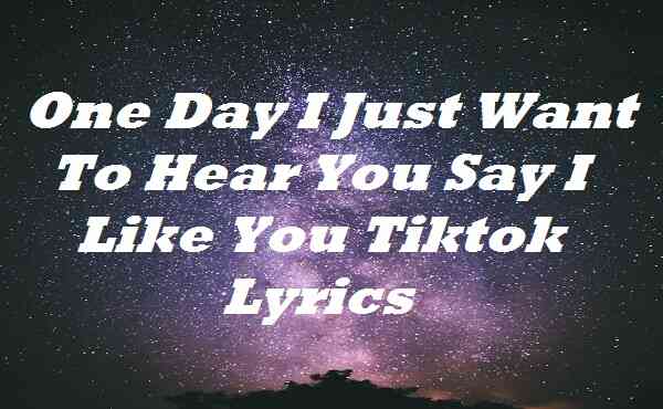 One Day I Just Want To Hear You Say I Like You Tiktok Lyrics