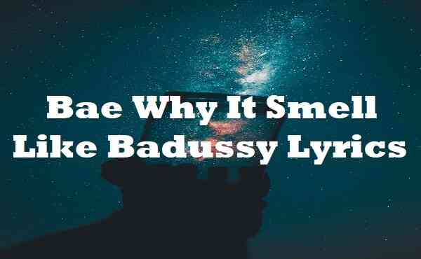 Bae Why It Smell Like Badussy Lyrics