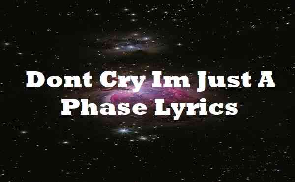 Dont Cry Im Just A Phase Lyrics