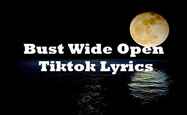 Bust Wide Open Tiktok Lyrics