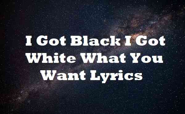 I Got Black I Got White What You Want Lyrics