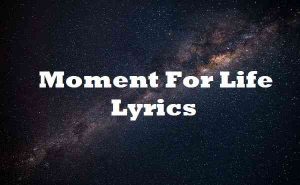 moment for life lyrics