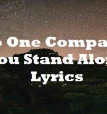 No One Compares You Stand Alone Lyrics