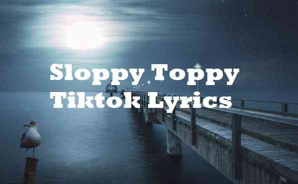Sloppy Toppy Tiktok Lyrics