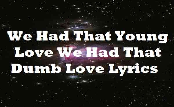 We Had That Young Love We Had That Dumb Love Lyrics