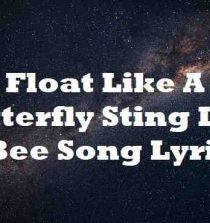 Float Like A Butterfly Sting Like A Bee Song Lyrics Lyricsdb