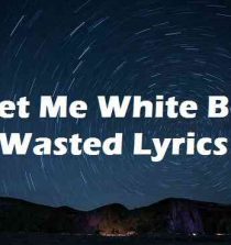 Get Me White Boy Wasted Lyrics
