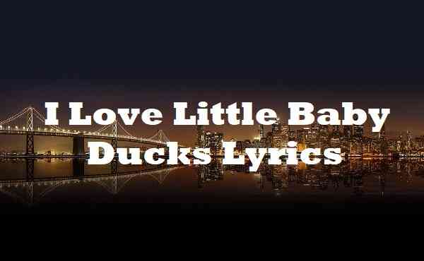 I Love Little Baby Ducks Lyrics