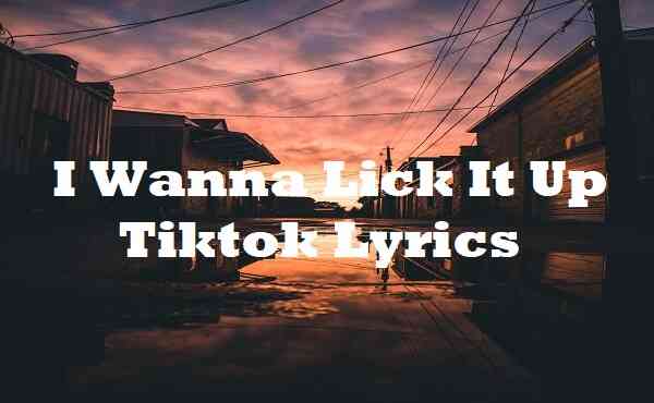 I Wanna Lick It Up Tiktok Lyrics