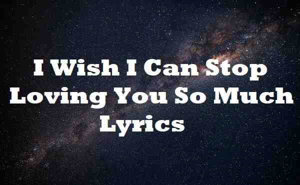 I wish i could stop loving you so much lyrics
