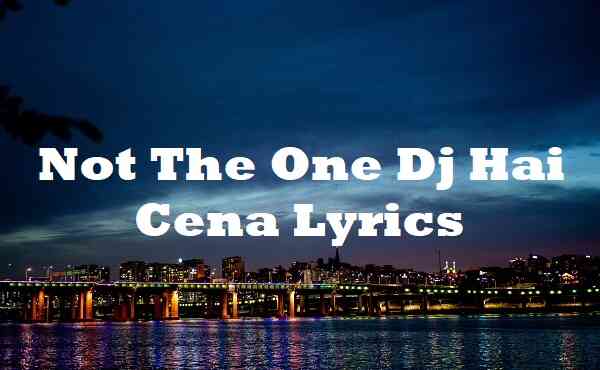 Not The One Dj Hai Cena Lyrics Song Lyricsdb Org