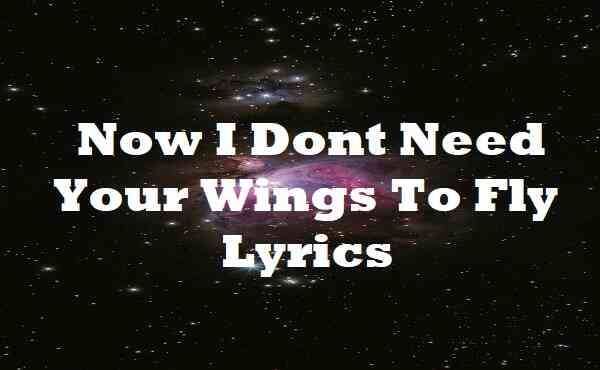 Now I Dont Need Your Wings To Fly Lyrics