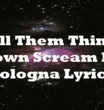 Pull Them Things Down Scream No Bologna Lyrics