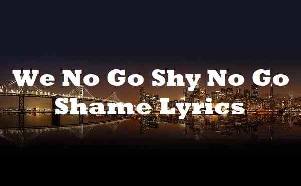 We No Go Shy No Go Shame Lyrics