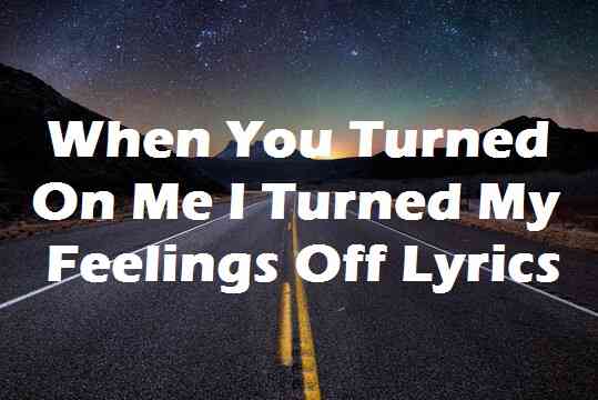 When You Turned On Me I Turned My Feelings Off Lyrics