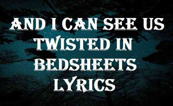 And I Can See Us Twisted in Bedsheets Lyrics