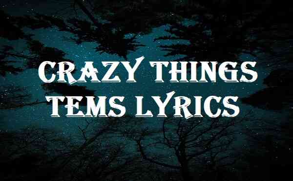 Crazy Things Tems Lyrics