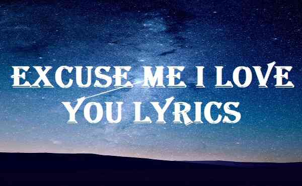 Excuse Me I Love You Lyrics