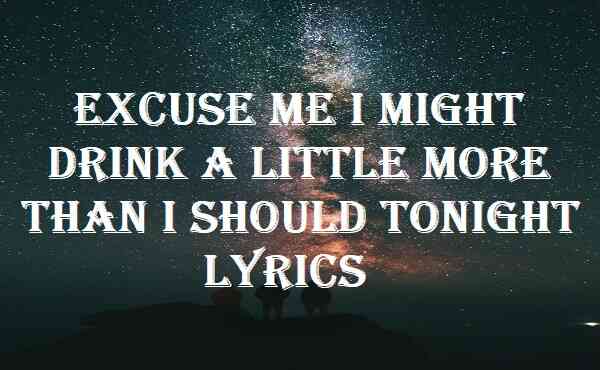 Excuse Me I Might Drink A Little More Than I Should Tonight Lyrics