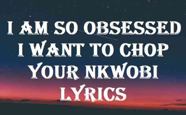 I Am So Obsessed I Want To Chop Your Nkwobi Lyrics