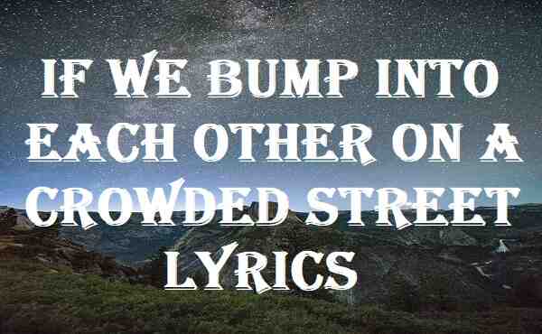 If We Bump Into Each Other On A Crowded Street Lyrics