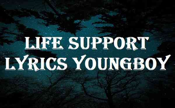 Life Support Lyrics Youngboy