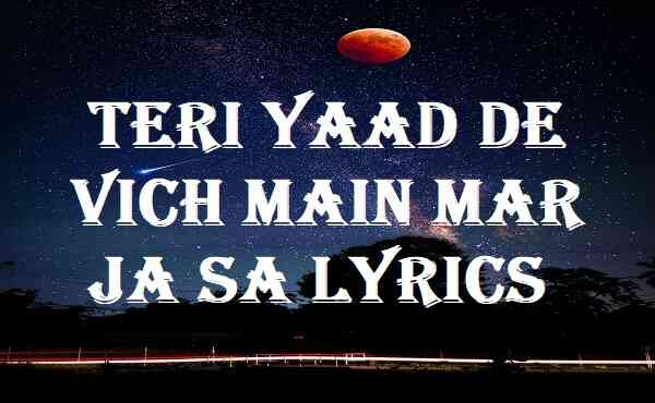 Teri Yaad De Vich Main Mar Ja Sa Lyrics