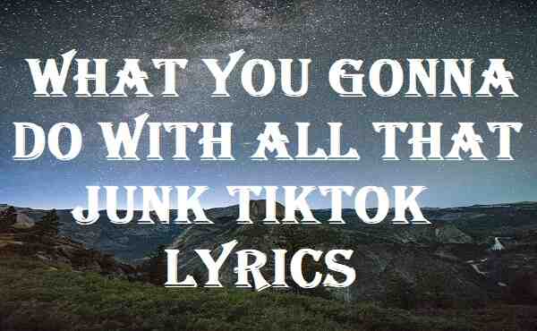 What You Gonna Do With All That Junk TikTok Lyrics