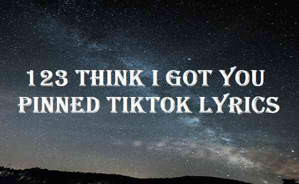 123 Think I Got You Pinned Tiktok Lyrics