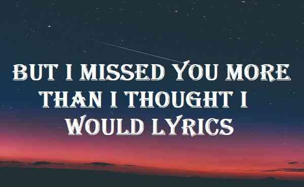 But I Missed You More Than I Thought I Would Lyrics