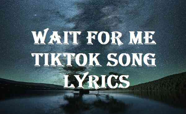 Realestk - WFM (Lyrics)  Wait for me [TikTok Song] 