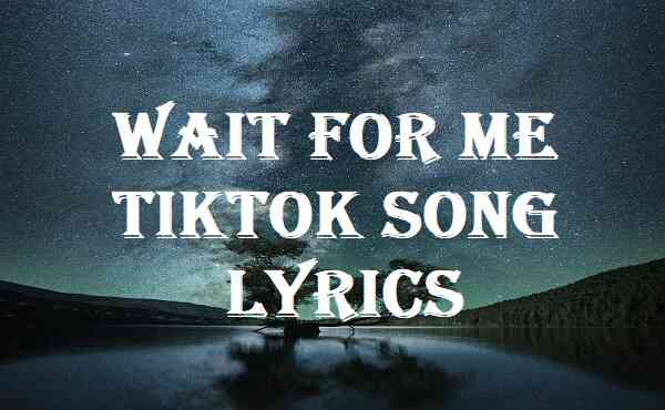 Realestk - WFM (Lyrics)  wait for me tiktok song