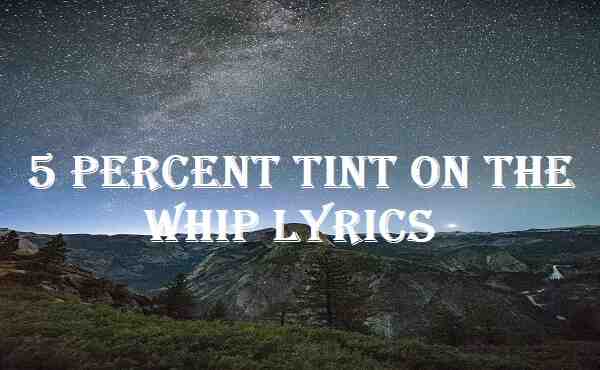 5 Percent Tint On The Whip Lyrics
