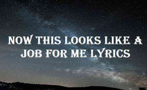 Now This Looks Like A Job For Me Lyrics