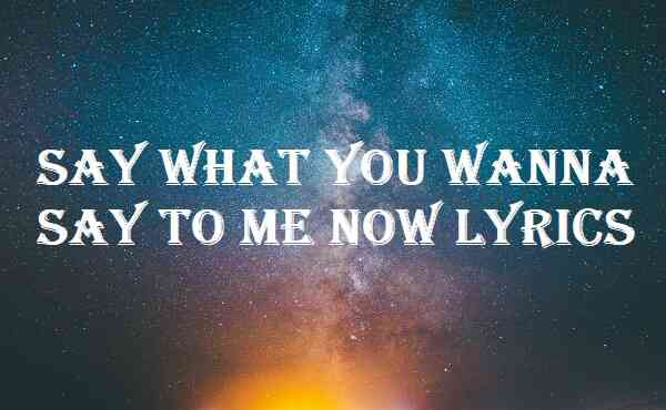 Say What You Wanna Say To Me Now Lyrics