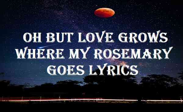 Oh But Love Grows Where My Rosemary Goes Lyrics