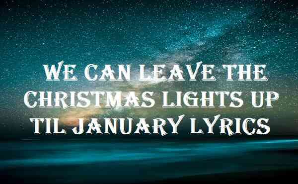 We Can Leave The Christmas Lights Up Til January Lyrics