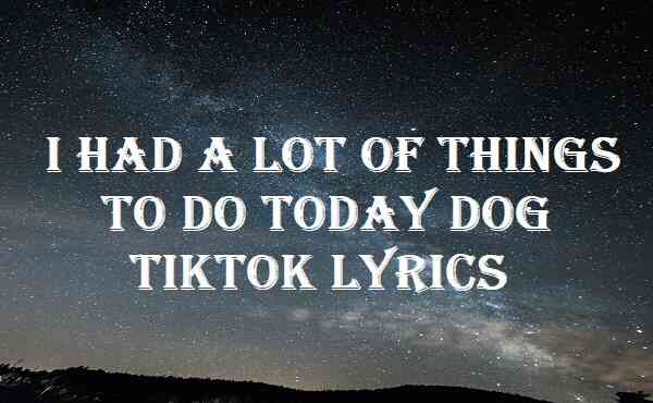 I Had A Lot Of Things To Do Today Dog TikTok Lyrics