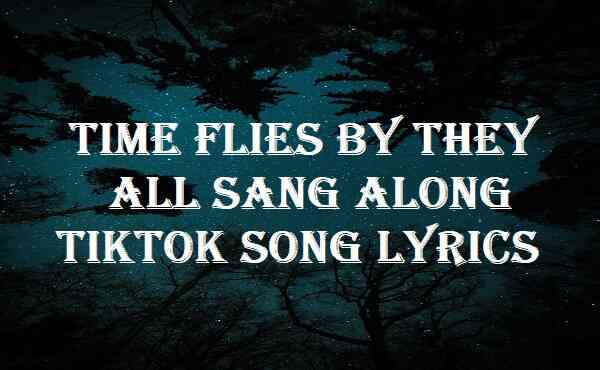 Time Flies By They All Sang Along TikTok Song Lyrics