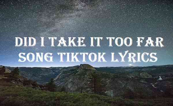 Did I Take It Too Far Song Tiktok Lyrics