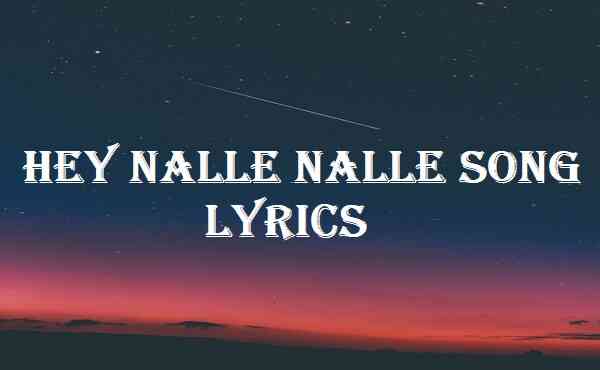 Hey Nalle Nalle Song Lyrics