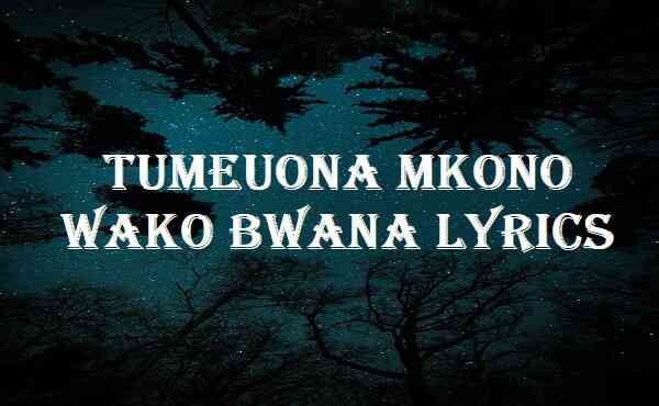 Tumeuona Mkono Wako Bwana Lyrics