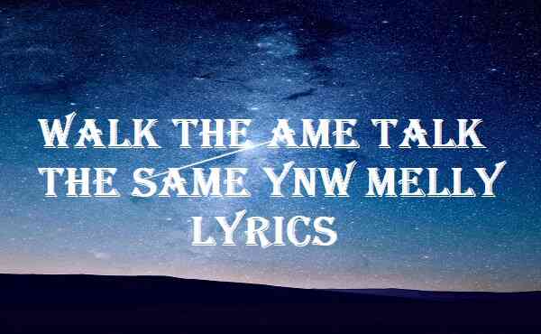 Walk The Same Talk The Same YNW Melly Lyrics