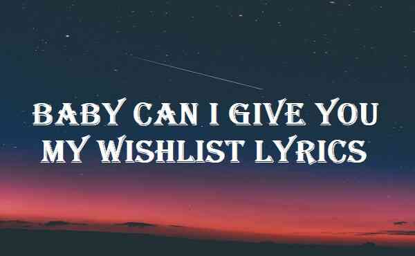 Baby Can I Give You My Wishlist Lyrics