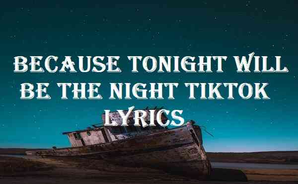 Because Tonight Will Be The Night Tiktok Lyrics